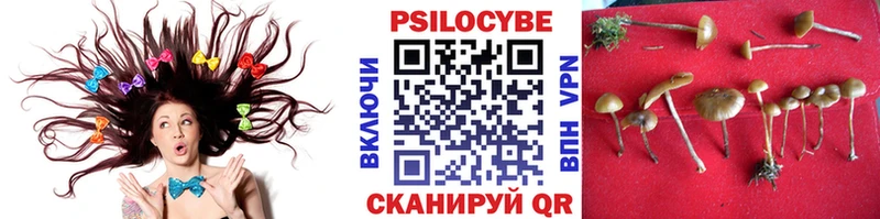 магазин    Казань  Галлюциногенные грибы Magic Shrooms 